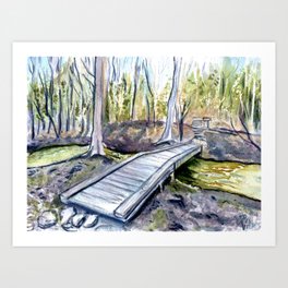 Appalachian Approach Trail Bridge Amicalola Falls Art Print