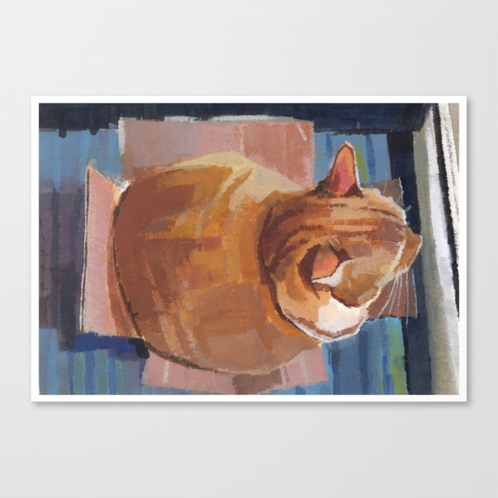 Orange Cat in the Box Canvas Print