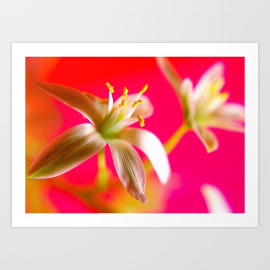 Day-glo 1 Art Print
