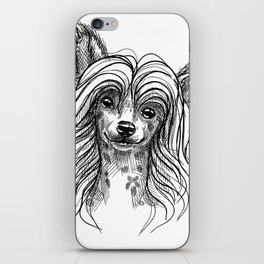 Cute little Chinese crested puppy. iPhone Skin