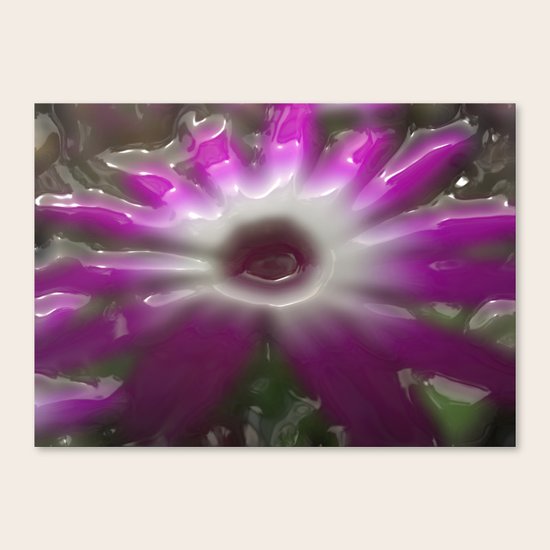 Senetti Daisy Canvas Print