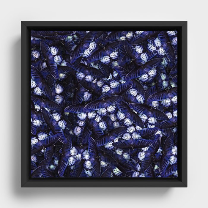 Blue Butterfly Pattern Design Framed Canvas