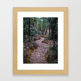 Hiking Trail Framed Art Print