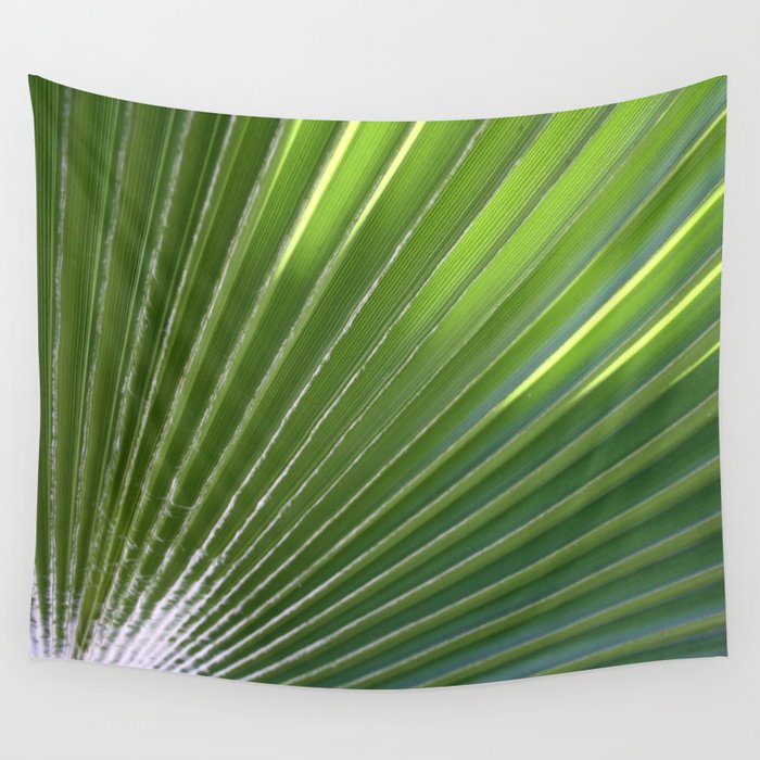Ruffled Fan Palm Glossy Pleated Fronds Photograph Wall Tapestry