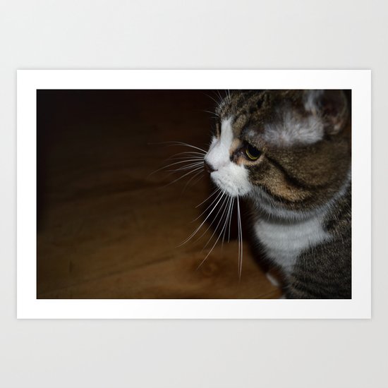 Profile Art Print