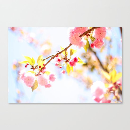 Sweet dream Canvas Print