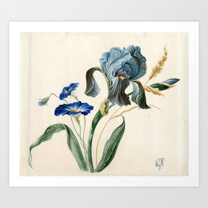 Iris Botanical Print Art Print by Natural History Prints | Society6