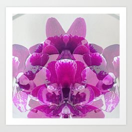 Orchid Optics Art Print