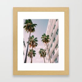 Florida Palms Framed Art Print