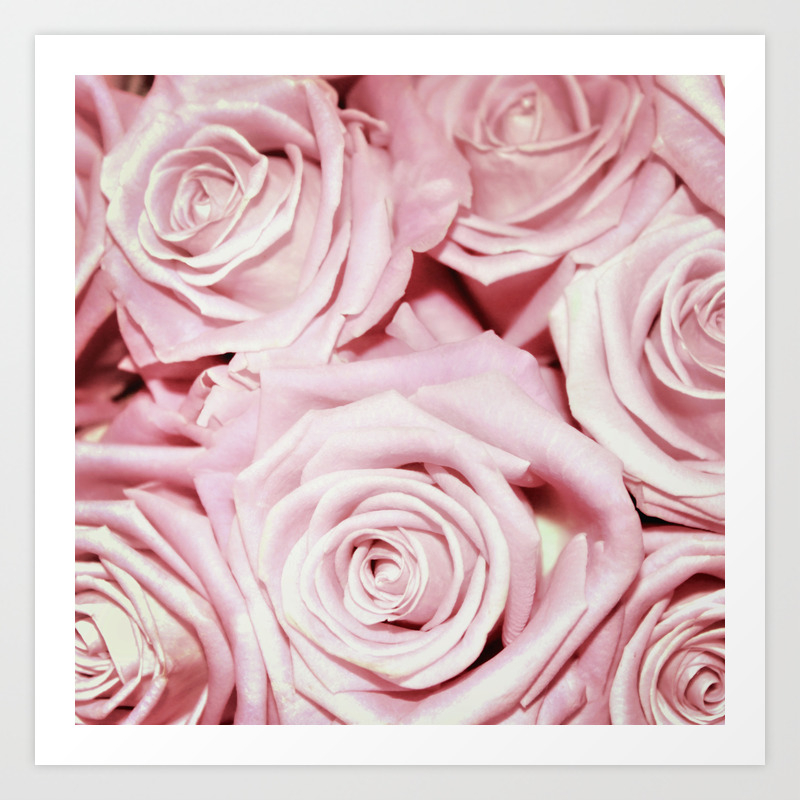 Beautiful Bed Of Pink Roses Floral Rose Flowers Art Print By Originalaufnahme Society6