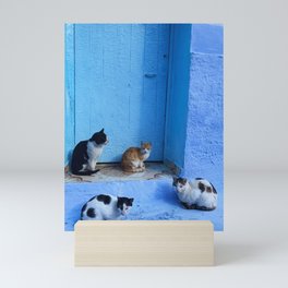 Cats in Chefchaouen Mini Art Print