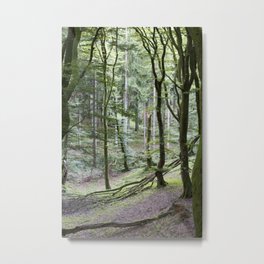 Trees - Rold Skov Metal Print