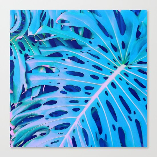 Monstera Blue Canvas Print