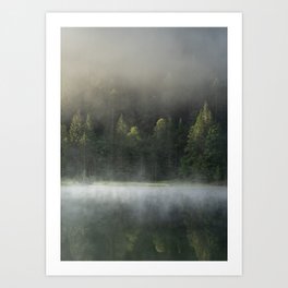 Morning Dew on a Mountain Forest Lake Art Print