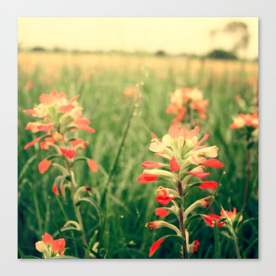 Wild flowers! Canvas Print