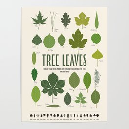 Tree leaves Poster