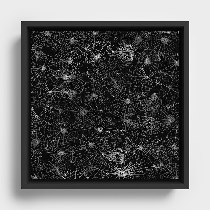 Framed Canvas