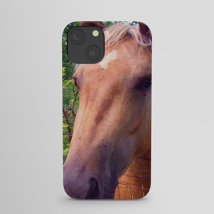 Behind the Fence iPhone Case