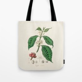 Coffee Bean Antique Botanical Illustration Tote Bag