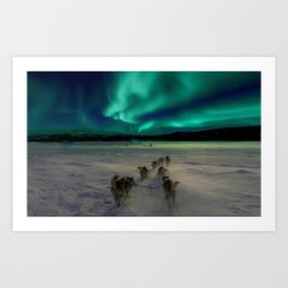 Winter Northern Lights Dog Sled (Color) Art Print