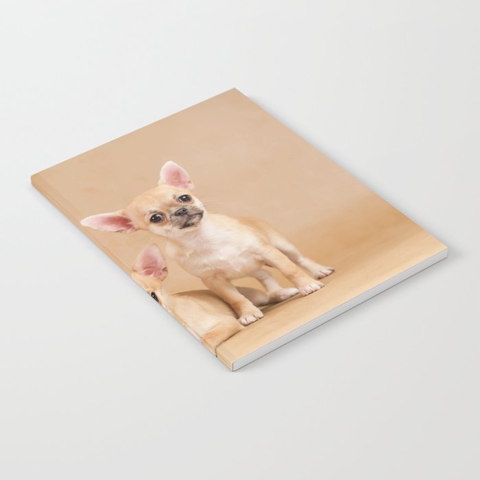 Chihuahua Puppy Cute Portrait Pets Hugfriendship  Notebook