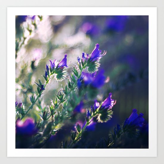 A Moment of Light Art Print