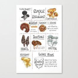 Edible Mushroom Chart Canvas Print
