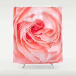 macro shot of beautiful pink rose flower Shower Curtain