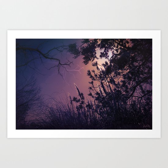 Moonlight Sonata (Tree and Reed Plant Silhouette) Art Print