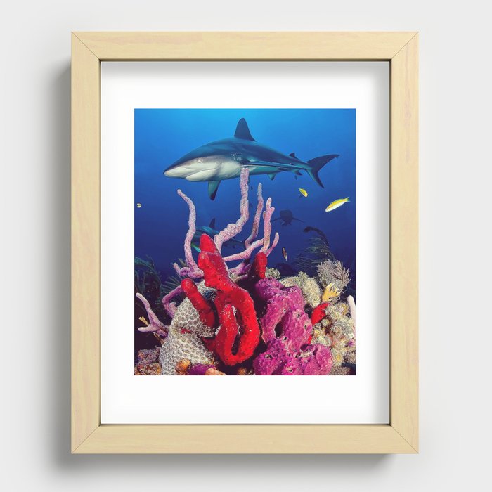 fish Recessed Framed Print