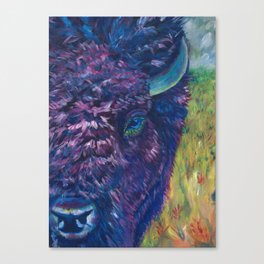 A Technicolor Bison Canvas Print