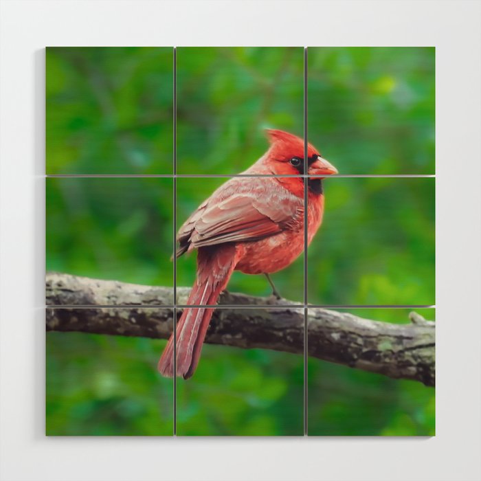 Red Cardinal against green leaves Wood Wall Art