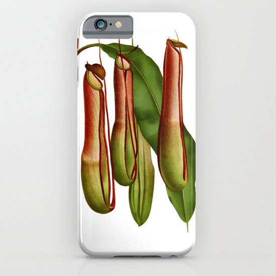Nepenthes Pitcher Plant Vintage Illustration iPhone & iPod Case