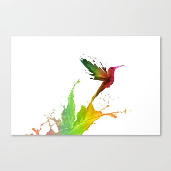 Humming Bird Colors Canvas Print