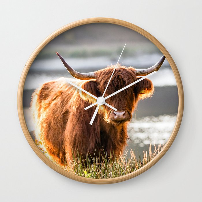 Scottish Highland Cattle portrait Wall Clock