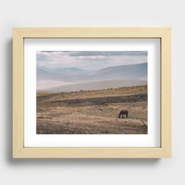 Wild horse in Ecuador Recessed Framed Print