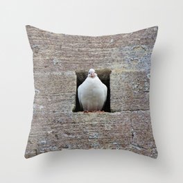 Dove in Wall Throw Pillow