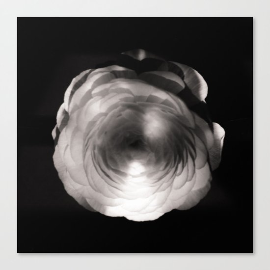 Mapplethorpe Ass Flower Canvas Print