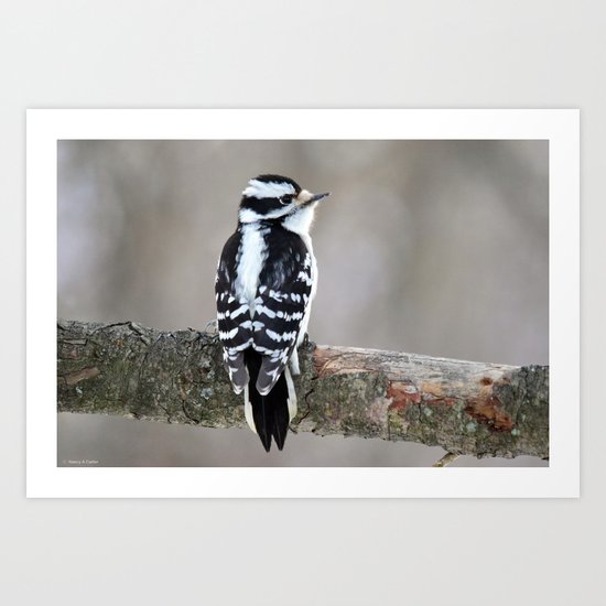 Stunning in Black and White Art Print