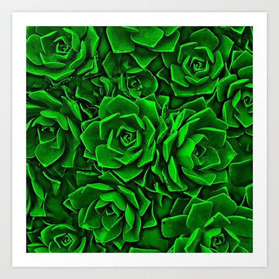 Succulent Green Art Print