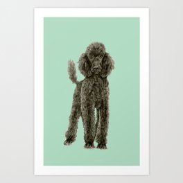 Poodle Art Print