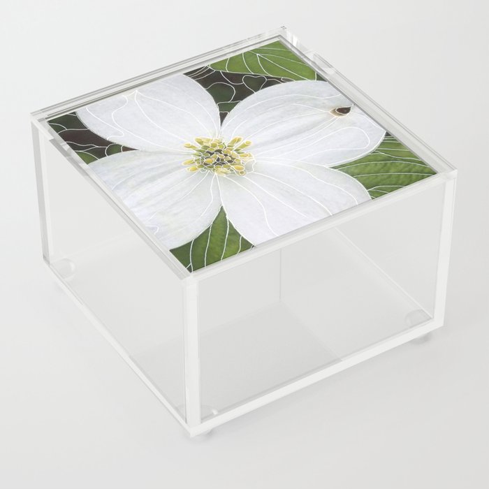 Dogwood 1 Acrylic Box