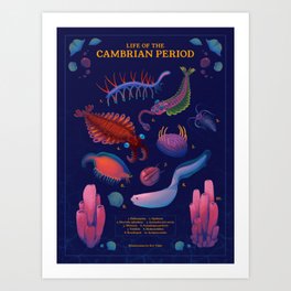 Cambrian Period Science Poster Art Print