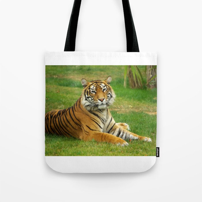 Portrait of a tiger in the nature Tote Bag