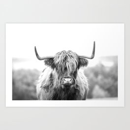 Highland Cow Longhorn in a Field Black and White Art Print