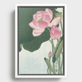 Flowering lotus flowers, Ohara Koson Framed Canvas