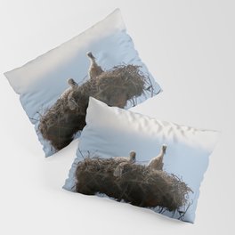 Baby Storks Photograph Pillow Sham