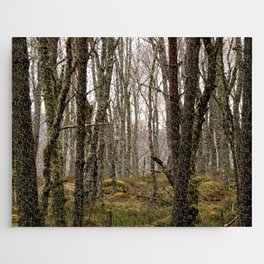 View Through the Trees, in the Scottish Highlands  Jigsaw Puzzle