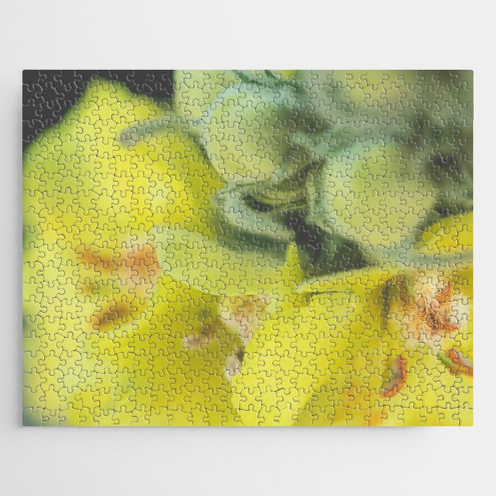 Close-up of a great mullein flower Jigsaw Puzzle