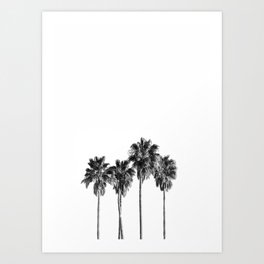 Palm trees 3 Art Print